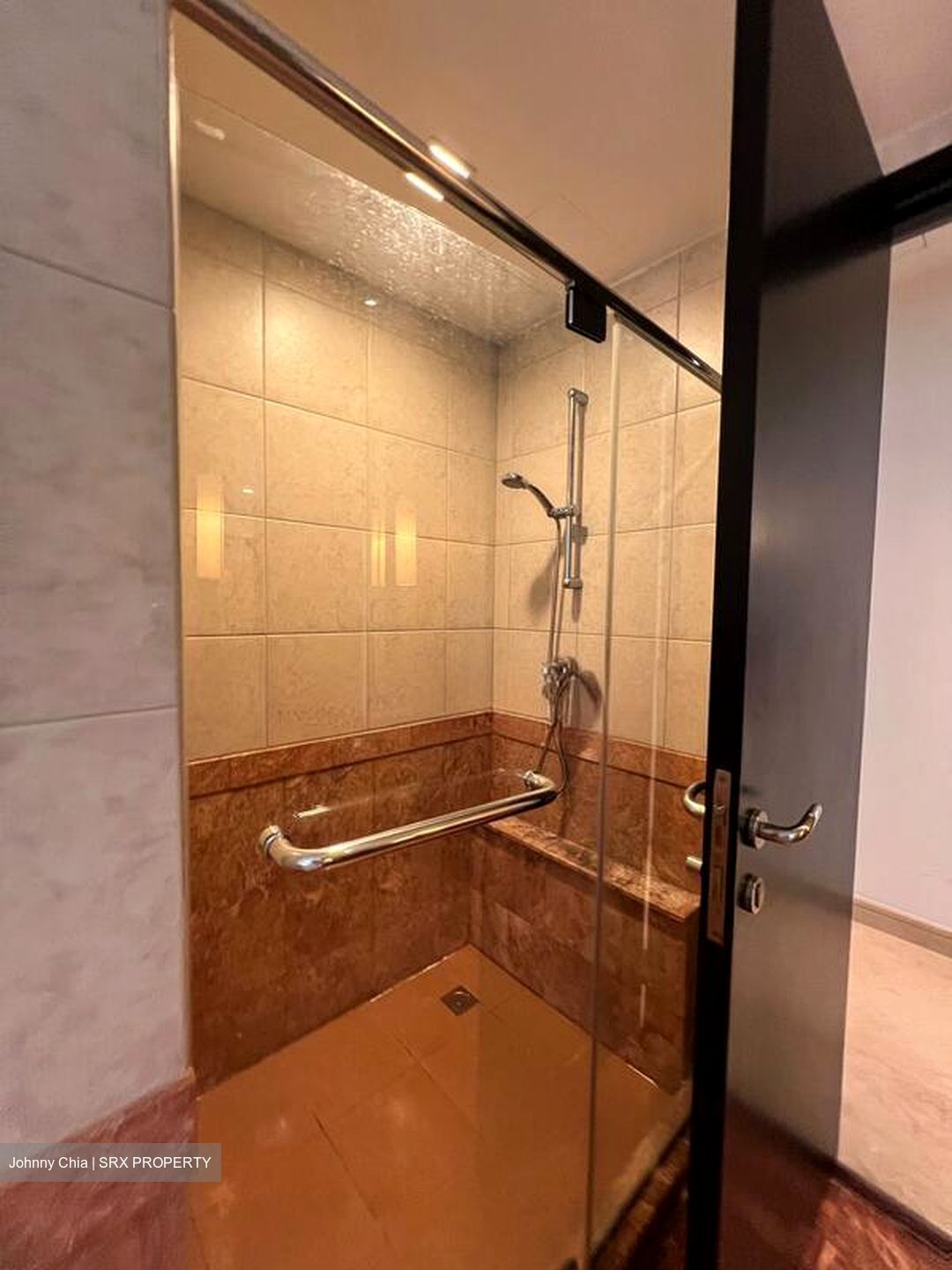 Orchard Scotts (D9), Condominium #502512391